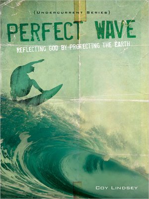 cover image of Perfect Wave